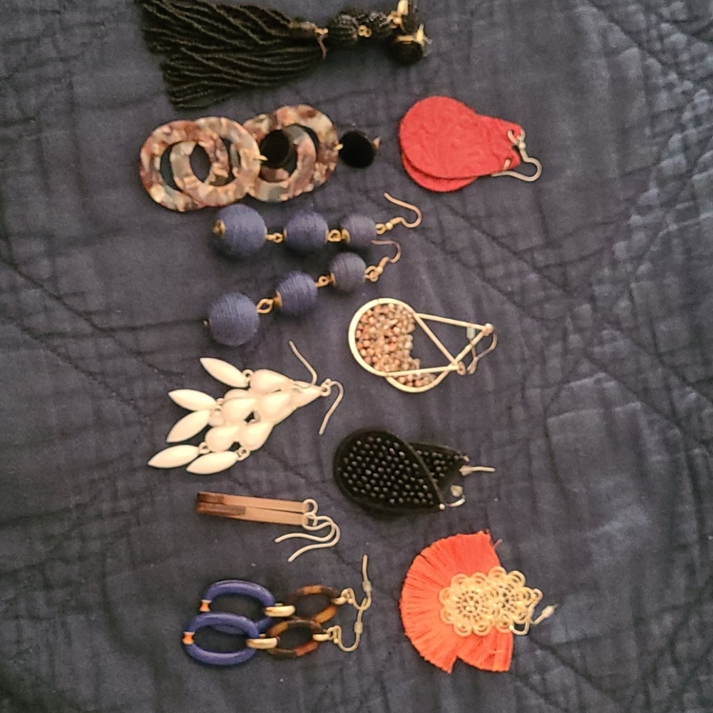 10 Pairs of Fashion Earrings